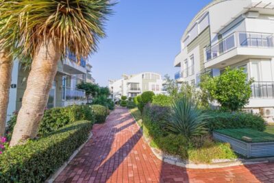 (SSBR1-ORTAK-105) (1005)