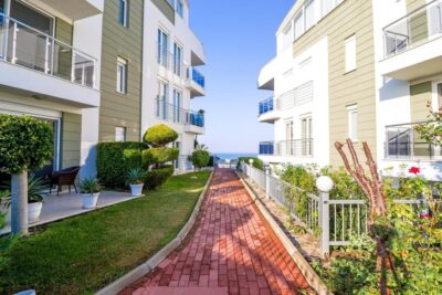 (SSBR1-ORTAK-105) (1007)