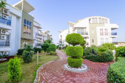 (SSBR1-ORTAK-105) (1009)