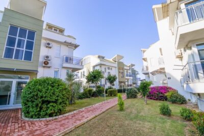 (SSBR1-ORTAK-105) (1012)